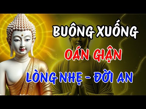 Phật Dạy: Buông Bỏ Oán Hận – Nhẹ Lòng Sống An Yên | Chữa Lành Tâm Hồn Cùng Tâm Tịnh Đời An