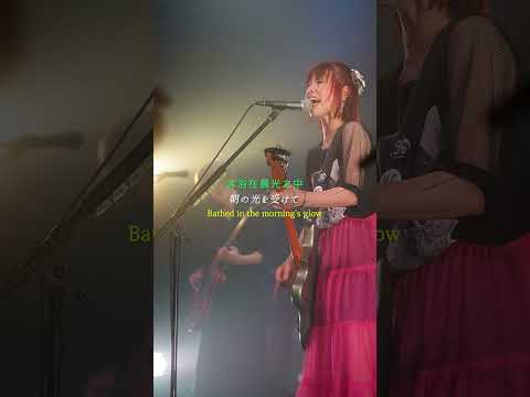 nano.RIPE「ハナノイロ」 2025.9.20 SHIBUYA DIVE #shorts