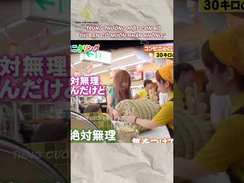 Trúng thưởng một con bò thì bạn có muốn nhận không #tomtatnhanh #haihuoc #funny #giaitri #shorts