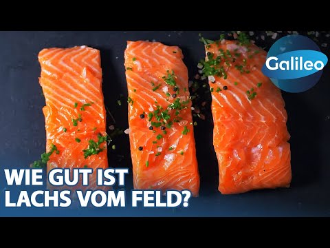 Lachs vom Feld: Wie gut ist veganer Räucherlachs?