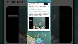 【ホラー😱】沖縄でガチ化け物みたいな魚が見つかる