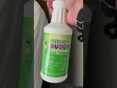 Bedbug Bites? #diypestcontrol #noharmfulchemicals