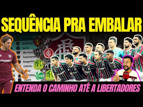 Fluminense Aumenta Chances de Classe para Libertadores Após Vitória sobre o Botafogo