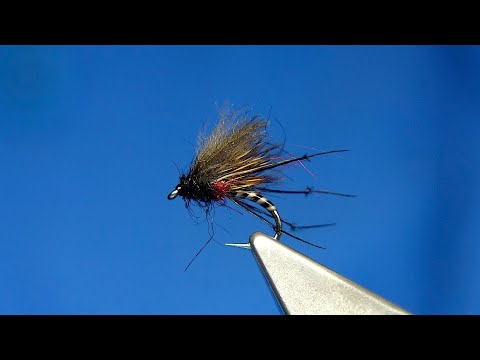 Tying a Quilled Body Bibio Half-Hog by Davie McPhail