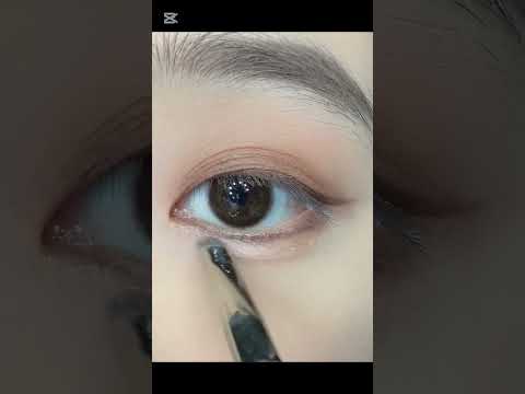 Simple & Sophisticated Autumn/Winter Eye Makeup for Beginners 🍂❄️#eyemakeup #shorts #trending