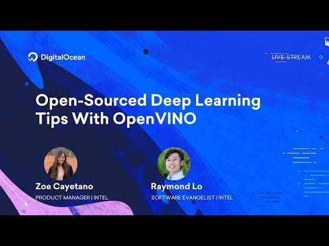 Tips on Open-Sourced Deep Learning With OpenVINO