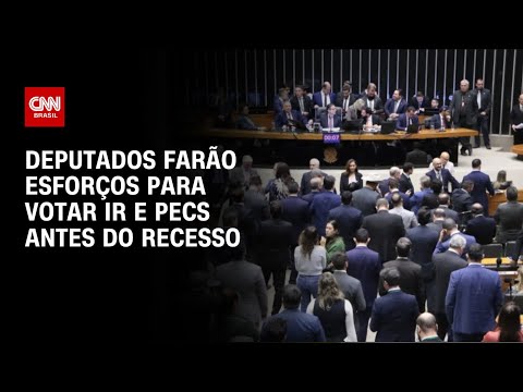 ​Câmara dos Deputados fará esforço concentrado para votar IR e PECs antes do recesso |  AGORA CNN