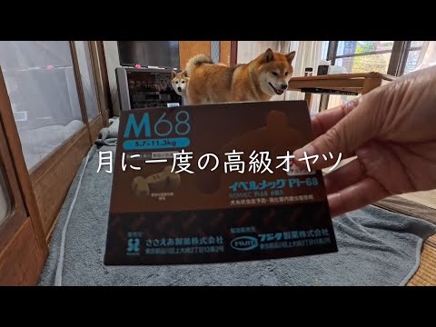 2025年8月8日(金) ひと粒ハーゲンダッツ3.5個分！月に一度の高級オヤツ【お薬です】 サムネイル