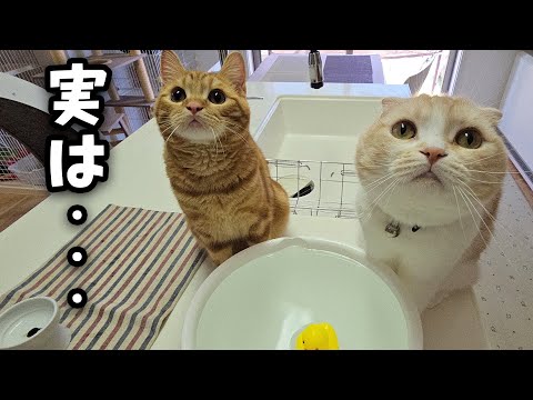 ずっと黙っていましたが...