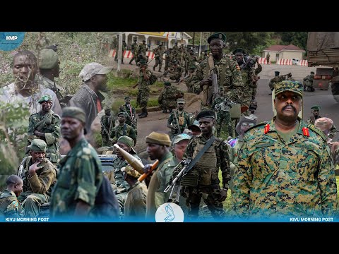 EST RDC : TENSIONS ENTRE WAZALENDO ET ARMÉE OUGANDAISE, L'AFC-M23 REPREND LES COMBATS À FIZI