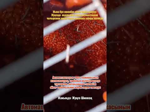 Мына бул заманбап айыл чарба түшүмү! / Жуңго Шинжаң радио теле станциясы