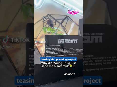 Young Thug’s creepy marketing campaign 🕷️ #news #itvnews #younthug
