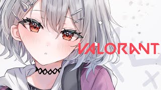 【 VALORANT 】なに使おうかなふるぱ! w/4人の先輩【白那しずく / ネオポルテ】