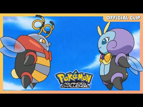 Volbeat & Illumise | Pokémon: Advanced Challenge | Official Clip