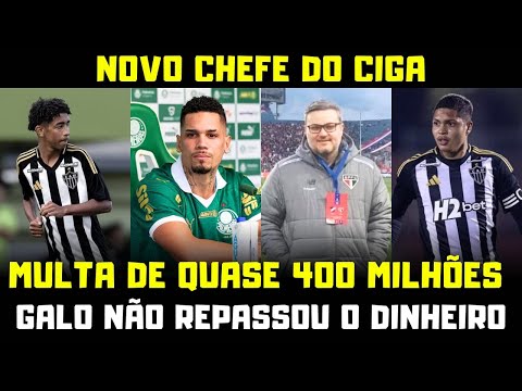 image para ilustrar o artigo