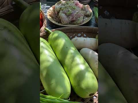 ngày 20 tháng 10, 2025