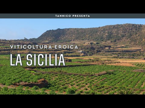 La Sicilia, sfida al Mediterraneo | Tannico