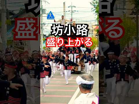 和泉だんじり大連合 坊小路がやりまわしを決めて直線を驅け拔ける #danjiri