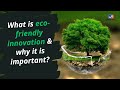 How are Eco-Friendly Innovations Good for Environment? | TV9 Digital