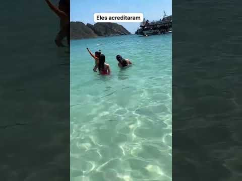 tempo tubarão nessa água #comedia #shorts