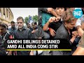‘Hitler Modi, Nakli Gandhi’ word war: Rahul, Priyanka detained as Cong protests price rise