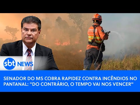 Senador do MS cobra rapidez contra incêndios no Pantanal: "Do contrário, o tempo vai nos vencer"