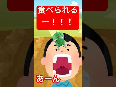 ピーマンいくつ食べられる？？ #おかいつ  #ピーマンマン #保育士 #幼稚園 #ゲーム #子ども  #まっくん #このゆびとまれ #みっちー