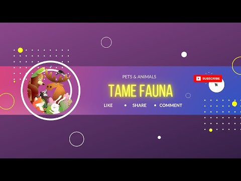 Tame Fauna Kitty live! #cat #kitty #bathing