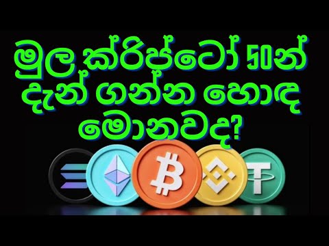 අපිට පිස්සෙක් කියල බැනපු කෙනා අද අපිව අගය කරන හැටි Video එකේ අන්තිමට? Top 50 crypto Analyzed!