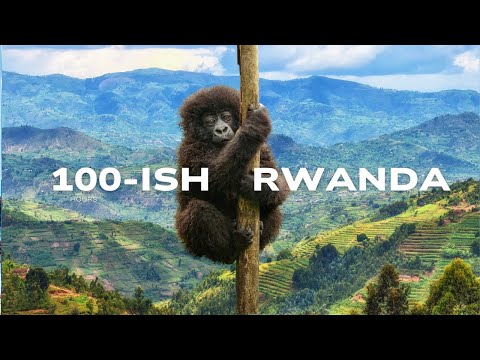 Essential Rwanda Travel Tips: Beyond Gorilla Trekking