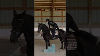 Riding my friesian mare for the first time in a year!😍🔥