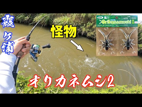 【新作ルアー】オリカネムシ2の威力がヤバすぎた…霞ヶ浦バス釣り