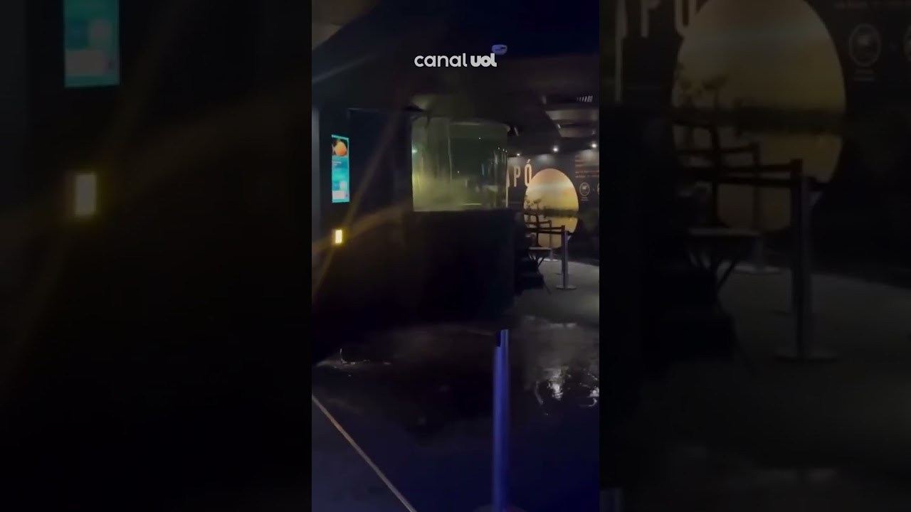 Teto do AquaRio desaba e animal cai no chão após vazamentos Começou do nada