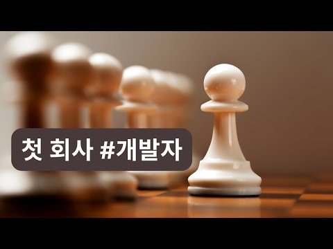 개발자 첫 회사 어떻게 고를까 | 코딩 ㅇㅇ해도 될까 시리즈 Ep 39