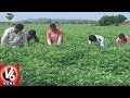 Youth attracted to agriculture after training