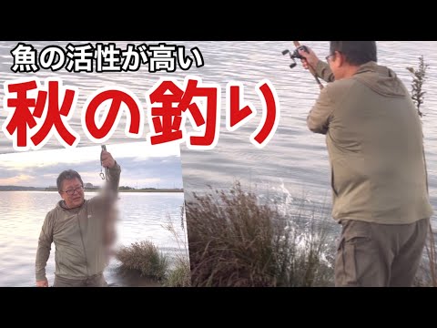 【2024秋の釣り】魚の活性が高い秋の釣り 2024年11月4日 千葉県香取市黒部川