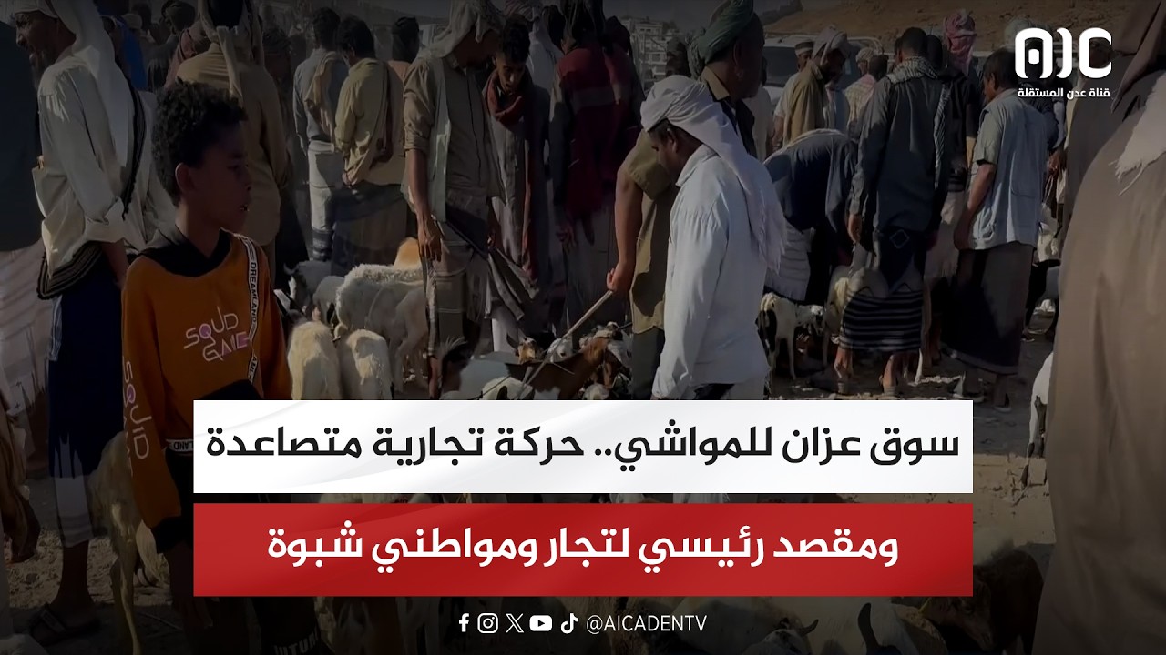 تقرير| سوق عزان للمواشي.. حركة تجارية متصاعدة ومقصد رئيسي لتجار ومواطني شبوة