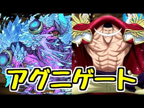 アグリゲートが引けないので"アグニゲート"使ってみた【パズドラ】