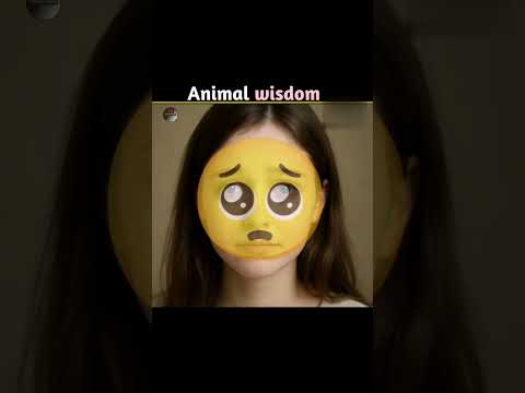 animal wisdom 🤷 #Shorts