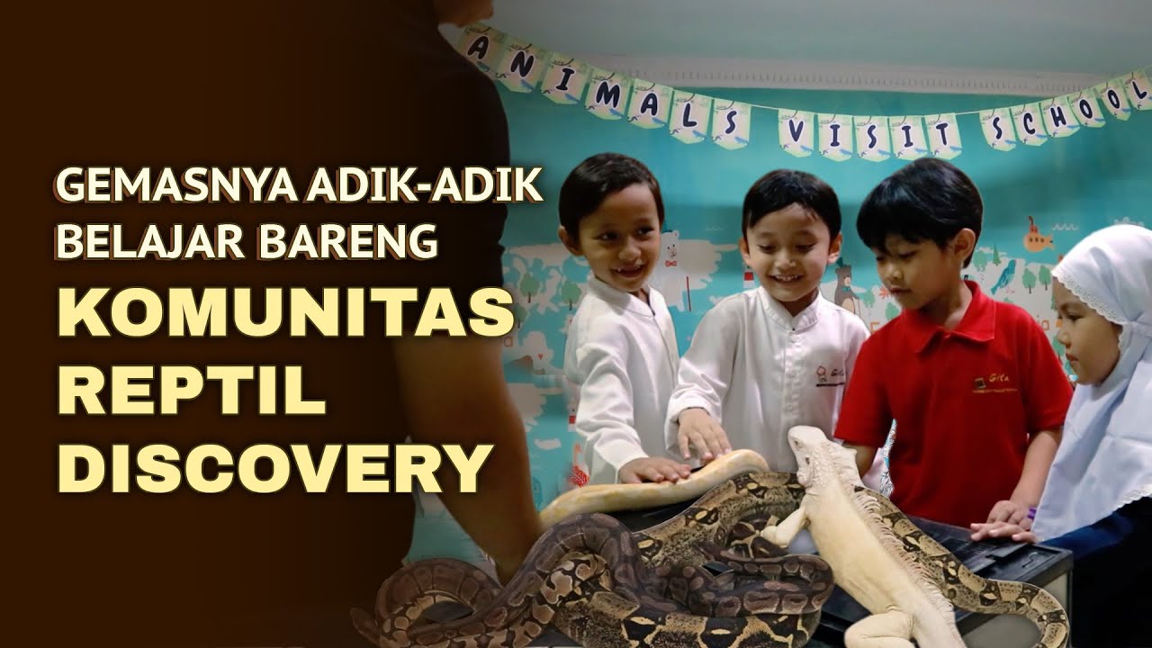 GEMASNYA ADIK-ADIK BELAJAR BARENG KOMUNITAS REPTIL DISCOVERY | A DAY WITH COMMUNITY (10/12/24)