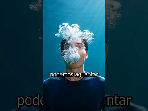 Personajes de Minecraft en la VIDA REAL!