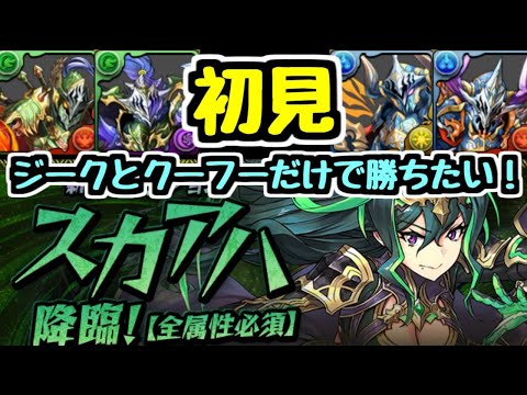 【生放送】新ダンジョン スカアハ降臨をジーククーフーのみ縛りで勝ちたい！【パズドラ】