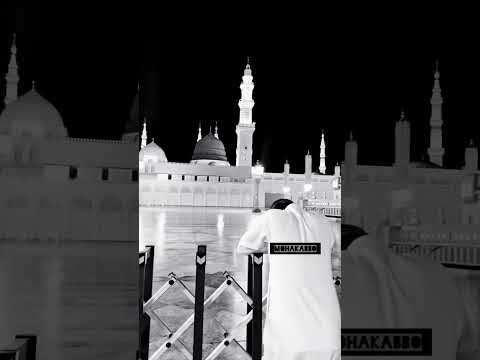 #shortsfeed #islamicvideo #shortvideo #fyp #mohakabbo