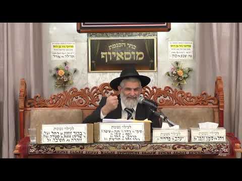 הרב יגאל כהן | פרשת לך לך תשפ"ו | בית הכנסת מוסאיוף