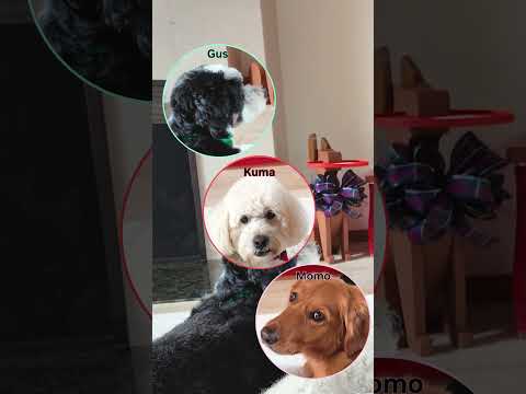 A Holiday Surprise Incoming…