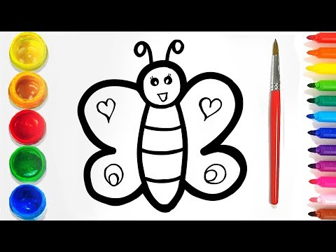 How To Draw Butterfly coloring and drawing Learn Colors for kids | CK TV♡°