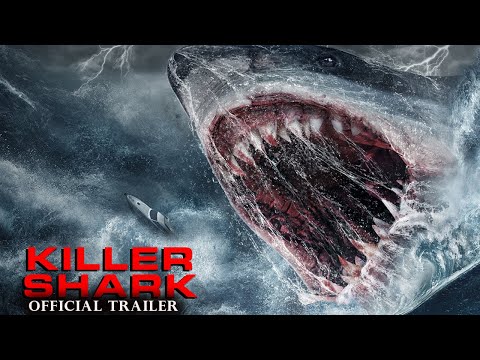 Killer Shark'