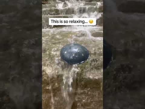 Would you buy this?? 🤔 #nature #rain #instrument #relaxing #relax #garden #meditation #drums #cool