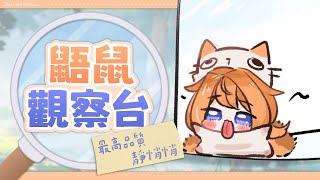 【 鼯鼠觀察台 】最高品質靜悄悄，認真做事不講話 (2) 【橙Yuzumi】