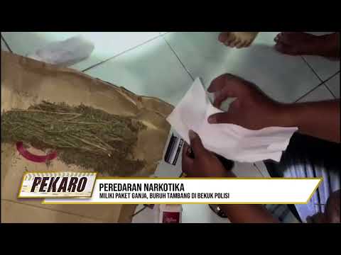Miliki Paket Ganja, Buruh Tambang di Bekuk Polisi